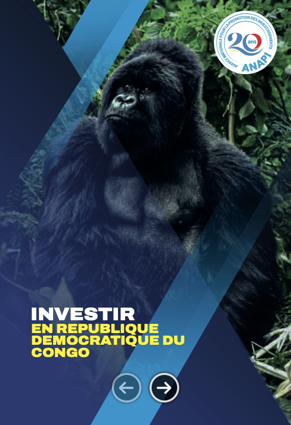 INVESTIR EN RDC